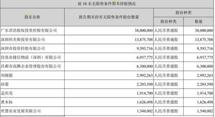 深投控弃权融资议案，深天地A上半年亏损，园区资产投资与管理面临挑战