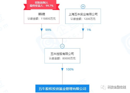 危墙之下 当围堵成为谢幕序曲——聚焦ST岩石的理财梦碎与资本困局